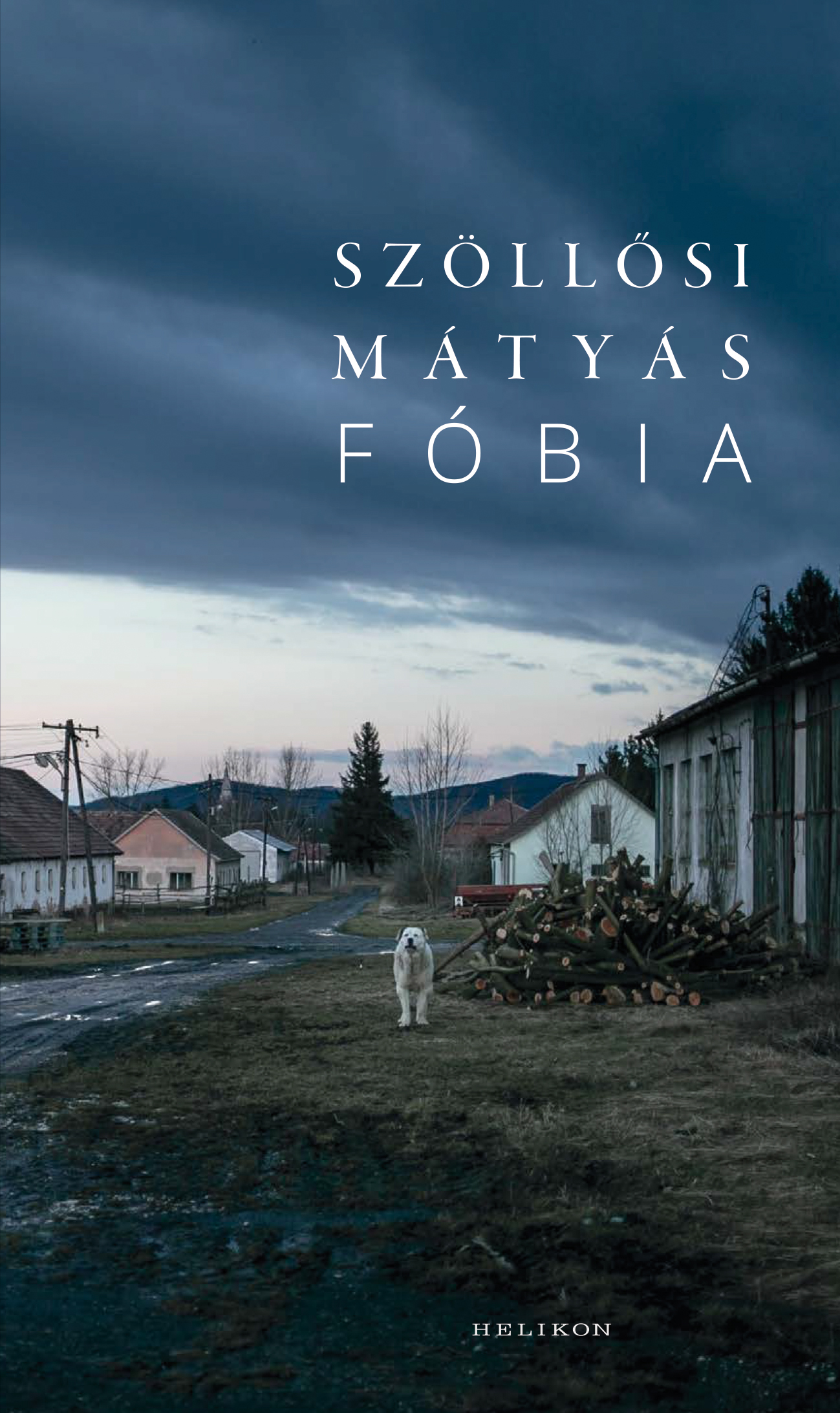 Szöllősi Mátyás - Fóbia [eKönyv: epub, mobi]