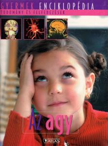 Az agy [antikvár]