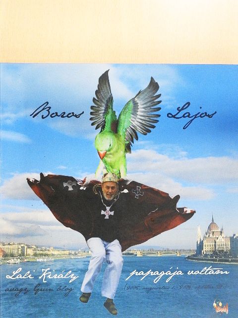 Boros Lajos - Lali király papagája voltam avagy Grün Blog [antikvár]