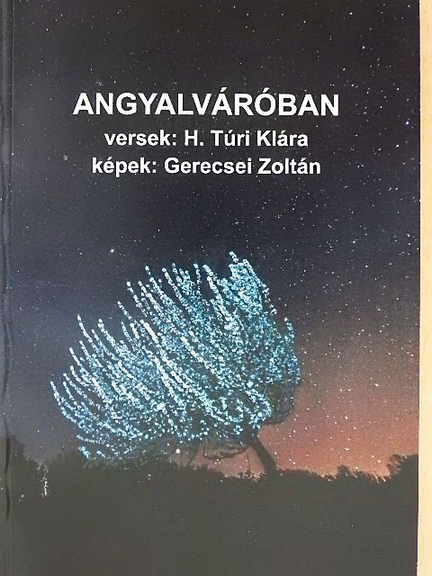 H. Túri Klára - Angyalváróban [antikvár]