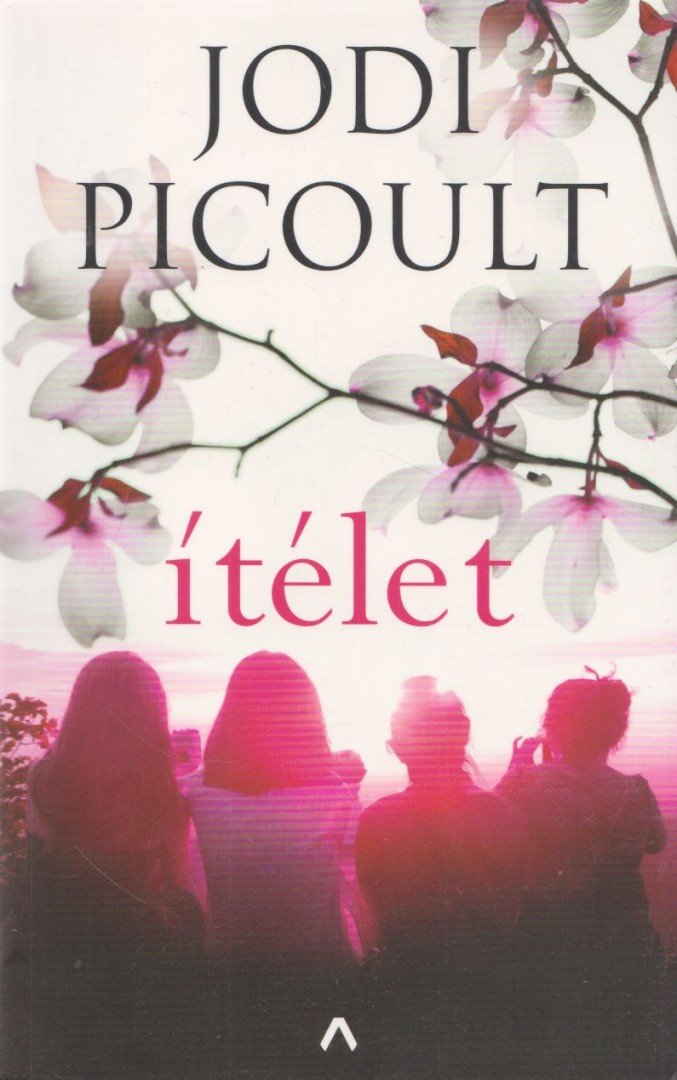 Jodi Picoult - Ítélet [antikvár]