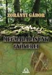 Zorányi Gábor - Megmaradásunk gyökerei