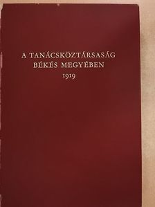 Becsei József - A Tanácsköztársaság Békés megyében 1919 [antikvár]