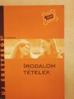 Kállay G. Katalin - Irodalom tételek [antikvár]