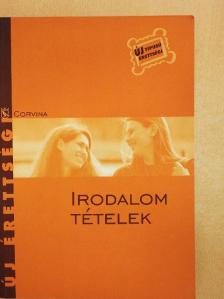 Kállay G. Katalin - Irodalom tételek [antikvár]