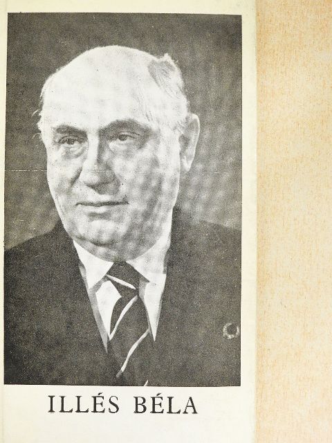 Alekszandr Szerafimovics - Illés Béla [antikvár]