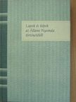 Jáni István - Lapok és képek az Állami Nyomda történetéből [antikvár]
