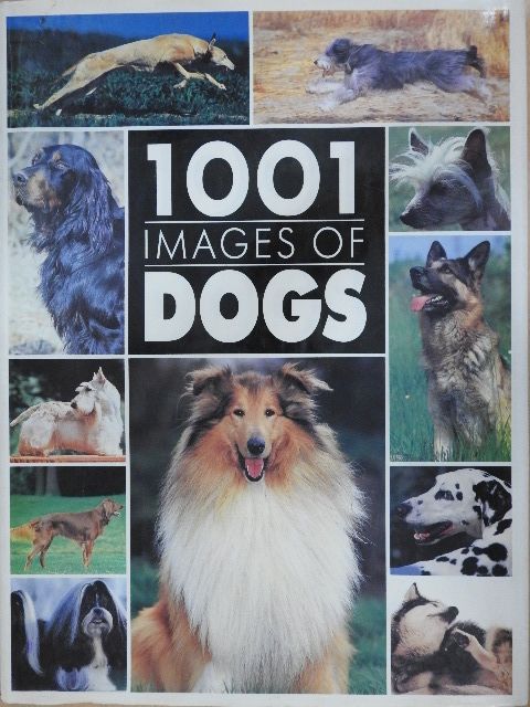 1001 images of dogs [antikvár]