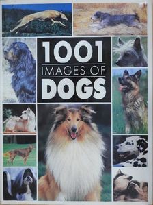 1001 images of dogs [antikvár]