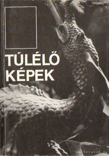 Kántor László - Túlélő képek [antikvár]