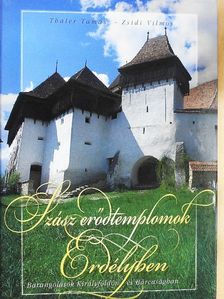 Zsidi Vilmos - Szász erődtemplomok Erdélyben [antikvár]
