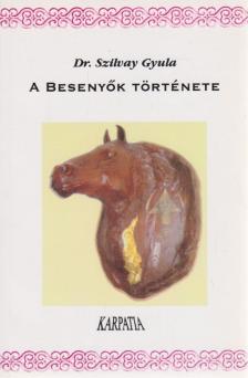 Dr. Szilvay Gyula - A besenyők története [antikvár]