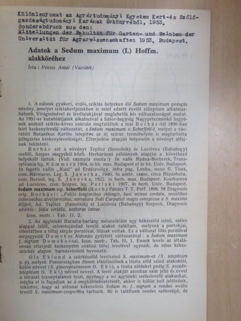 Pénzes Antal - Adatok a Sedum maximum (L) Hoffm. alakköréhez [antikvár]