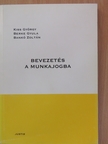 Bankó Zoltán - Bevezetés a munkajogba [antikvár]