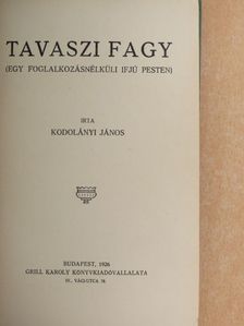 Kodolányi János - Tavaszi fagy [antikvár]
