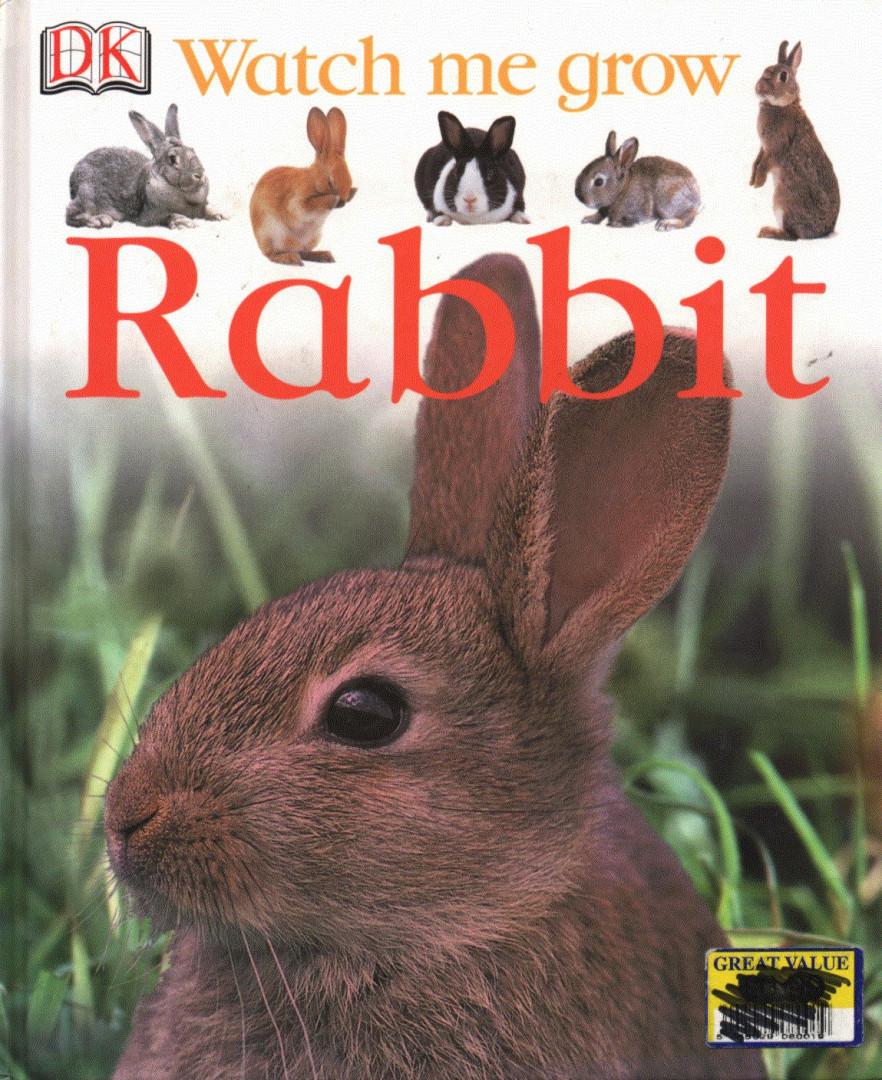 Rabbit [antikvár]
