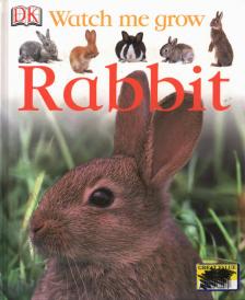Rabbit [antikvár]