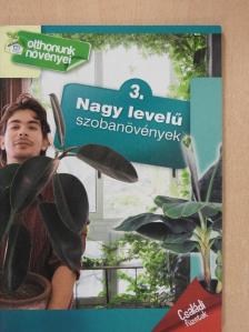 Dr. Váczi Imréné - Nagy levelű szobanövények [antikvár]