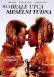 HA A BEALE UTCA MESÉLNI TUDNA - DVD
