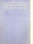 Dr. Ernst H. Riesenfeld - Anorganisch-chemisches Praktikum [antikvár]