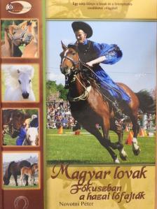 Novotni Péter - Magyar lovak [antikvár]