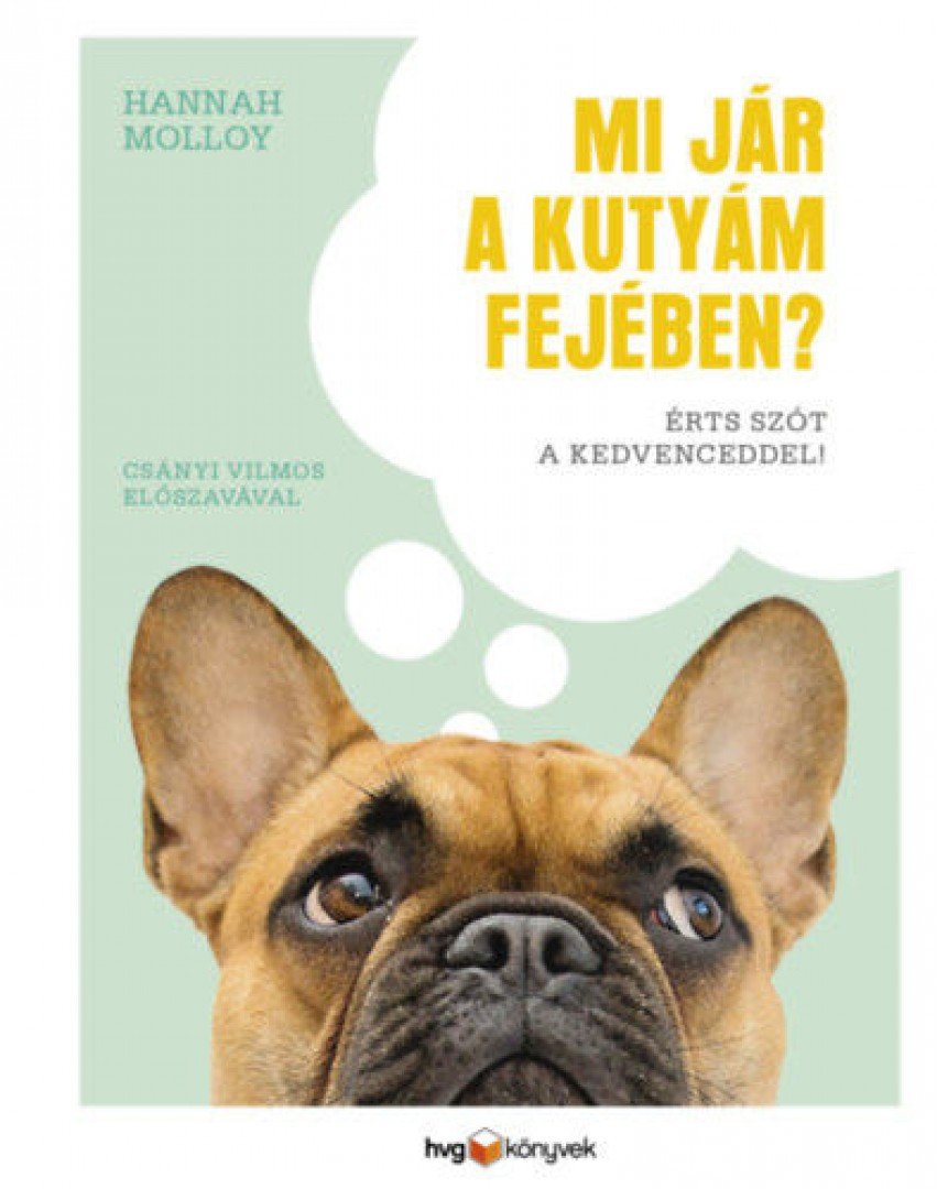 Hannah Molloy - Mi jár a kutyám fejében? [antikvár]