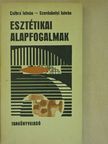 Csibra István - Esztétikai alapfogalmak [antikvár]