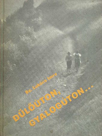 Sz. Lukács Imre - Dűlőúton, gyalogúton... [antikvár]
