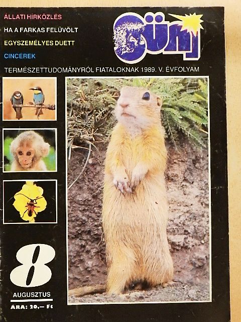 Kovács Zsolt - Süni 1989. augusztus [antikvár]