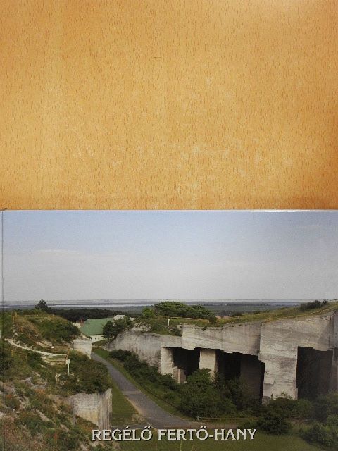 Ady Endre - Regélő Fertő-Hany [antikvár]