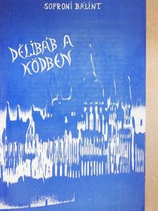 Soproni Bálint - Délibáb a ködben [antikvár]
