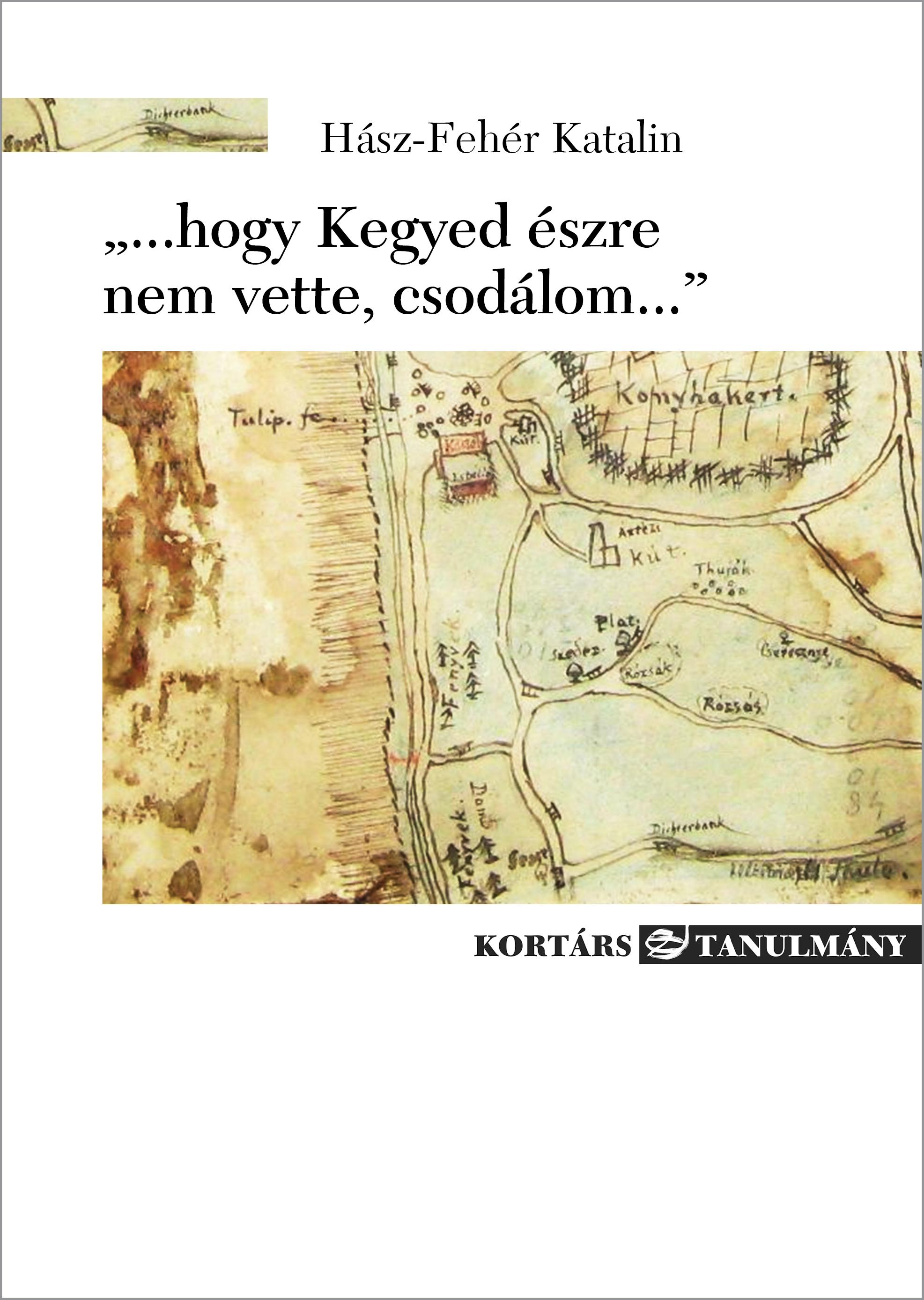 HÁSZ-FEHÉR KATALIN - ...hogy Kegyed észre nem vette, csodálom...