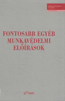 Nemeskey Károly, Dr. Varga László - Fontosabb egyéb munkavédelmi előírások [antikvár]