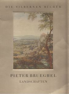 Kurt Zoege von Manteuffel - Pieter Brueghel Landschaften [antikvár]