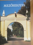 Balanyi Miklós - Mezőhegyes képes albuma [antikvár]