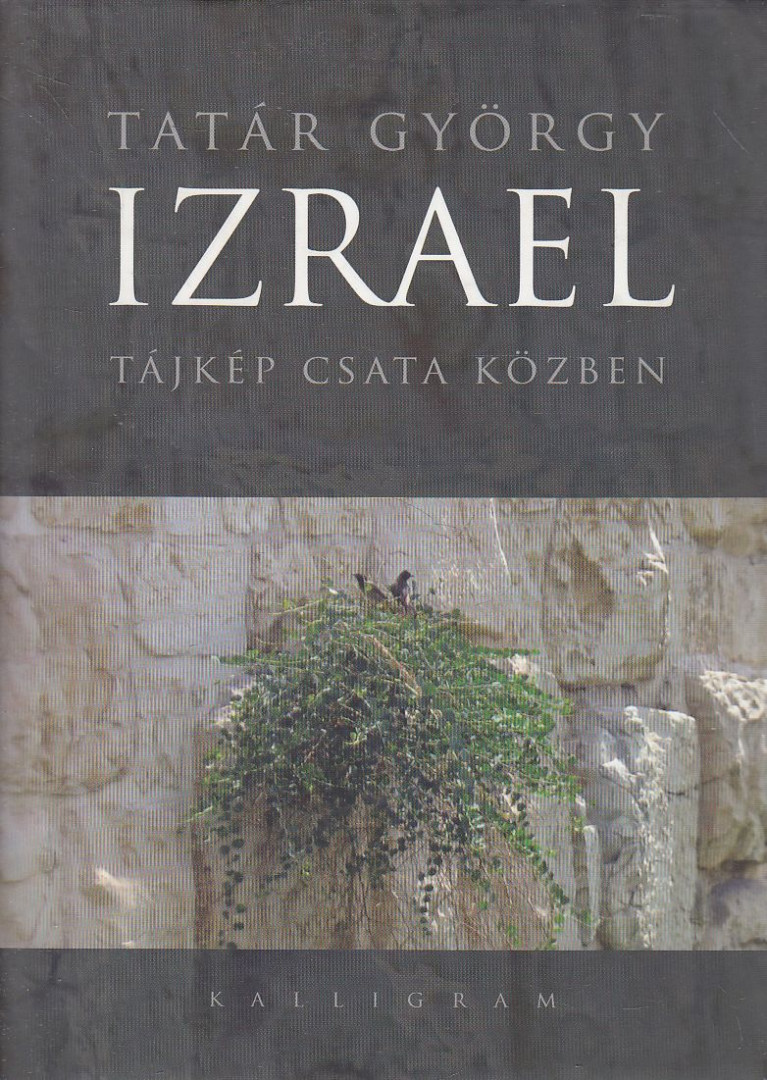 Tatár György - Izrael [antikvár]