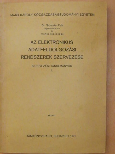Deák Erzsébet - Az elektronikus adatfeldolgozási rendszerek szervezése [antikvár]