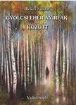 Békés Sándor - Gyolcsfehér nyírfák között [szépséghibás]