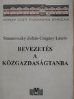 Czagány László - Bevezetés a közgazdaságtanba [antikvár]