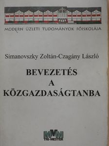 Czagány László - Bevezetés a közgazdaságtanba [antikvár]