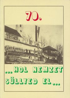 Stoffán György - "...Hol nemzet süllyed el..." [antikvár]