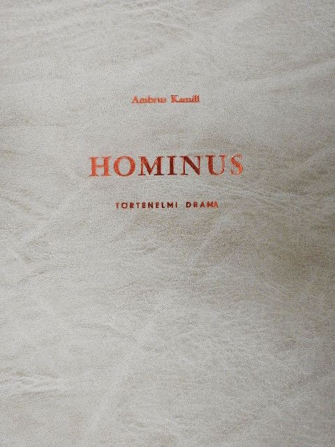 Ambrus Kamill - Hominus [antikvár]