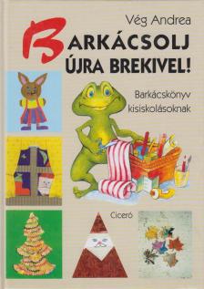 Vég Andrea - Barkácsolj újra Brekivel! [antikvár]