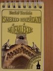 Berkó Terézia - Műemlékek [antikvár]