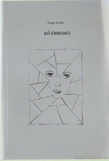 VARGA ISTVÁN - Kő ébredés [antikvár]