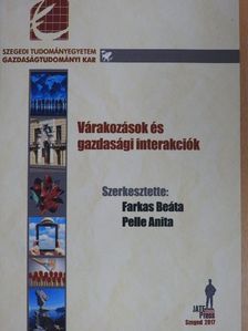 Katona Tamás - Várakozások és gazdasági interakciók [antikvár]