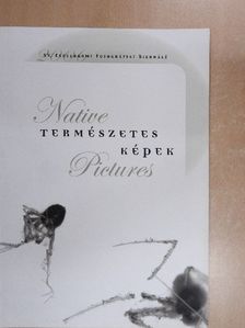 XV. Esztergomi Fotográfiai Biennálé [antikvár]