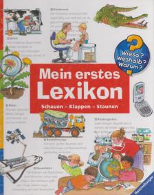 Andrea Erne - Mein erstes Lexikon [antikvár]