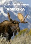 Dr. Gergely Imre-Gyenge László - Amerika