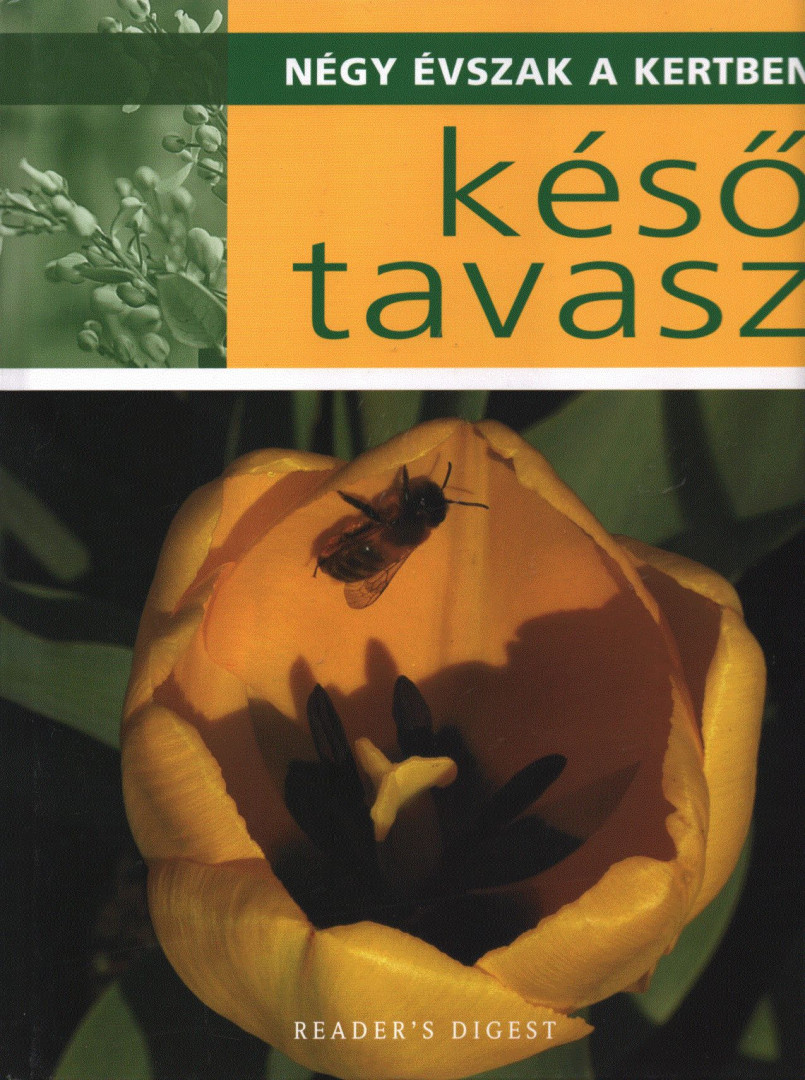 Dibás Gabriella - Késő tavasz [antikvár]